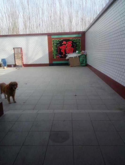 曬曬我的農(nóng)村婚房，占地面積600平，廚房超級大，臥室誰見過？